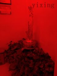 -Yestar杭州艺星医疗美容医院