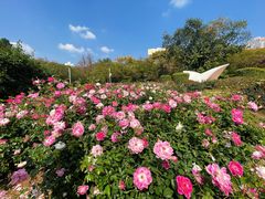 -人民公园(罗湖区)