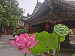 -关中书院