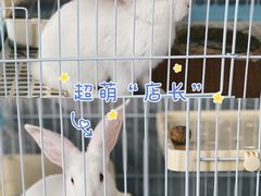 -SHRIMP CLUB万东餐饮钓虾·清吧