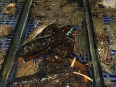 -今鲜源大酒店·中华餐饮名店(新湛路店)