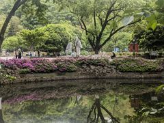 -南京古林公园