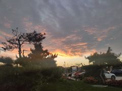 -清真白建强牛肉面(金雁花园店)