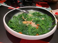 -羽鸽集·乳鸽专门店·地道顺德菜(岭南站店)