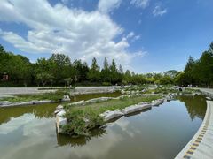 -大望京公园