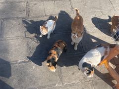 -敬亭山风景名胜区