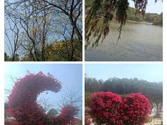 -东莞植物园