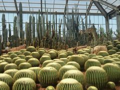 -南通洲际绿博园