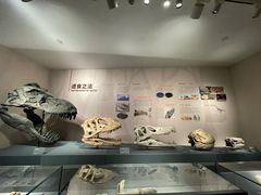 -自贡恐龙博物馆