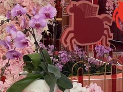 -武汉荟聚