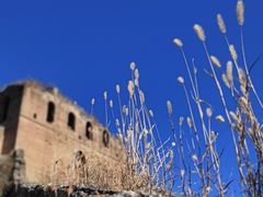 -蟠龙山长城景区