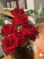 点击看大图 -芳香乐府SPA·五行芳疗
