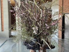 -浅深Cheersum(曹杨店)