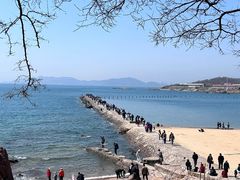 -青岛第二海水浴场