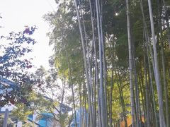 -永康小长城