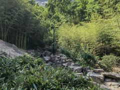 -竹子庵公园