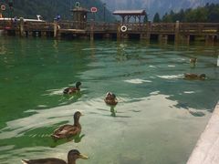 -柯尼希湖
