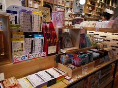 -猫的天空之城概念书店(束河店)