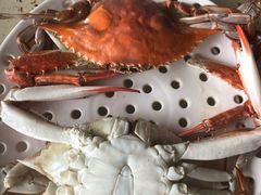 -港畔赶海蒸汽海鲜烧烤自助(仙螺岛店)