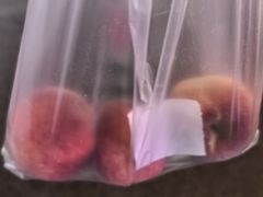 -乐乐鲜果水果超市(河北店)