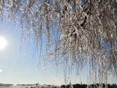 -长春市南湖公园