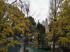 -江心屿景区