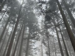-罗田薄刀峰风景区