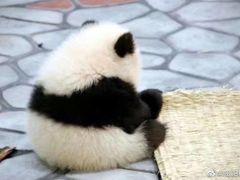-熙盛源(滨湖万达店)