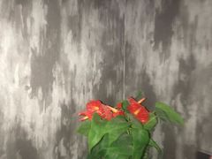 -机械师超级密室(小寨华旗店)