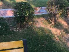 -武清南湖绿博园