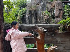 -长鹿旅游休博园