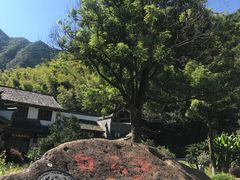 -白云源风景区