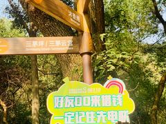 -惠山国家森林公园