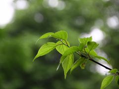 -成都杜甫草堂博物馆