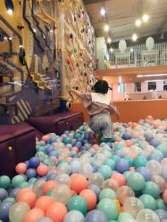 -泡泡米POPOME益智乐园(洪殿花园旗舰店)