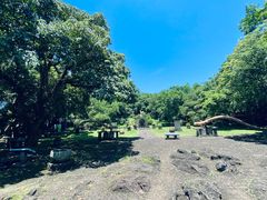 -海口火山口国家地质公园