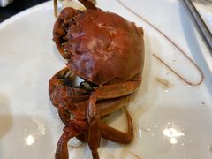 -圣罗巴海鲜烤肉自助(佳兆业店)
