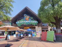 -苏州乐园森林水世界
