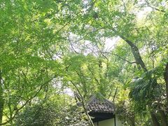 -虞山城墙