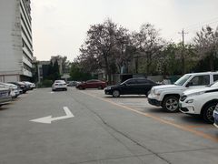 -中国中医科学院望京医院(院本部)
