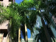 -香港大学