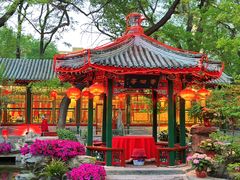 -白家大院·王府宫廷菜(苏州街店)