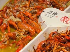 -龙巢盱眙龙虾·牛蛙·烧烤宵夜(八卦岭店)