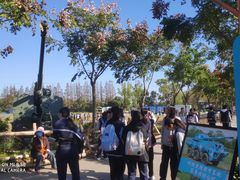 -上海长兴岛郊野公园