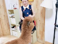 -猫色咖啡·猫咖