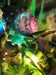 -恐龙探索乐园(磁器口店)