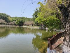 -东莞市可园博物馆