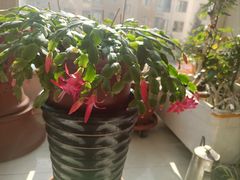 -中关村生命科学园