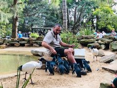 -费瑟代尔野生动物园