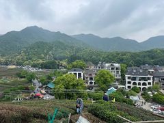 -听风阁农家私房菜茶楼(龙坞店)